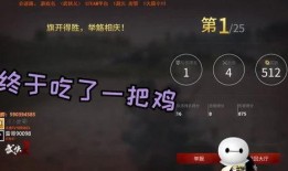 爆料乐山雷哥视频播放,揭秘幕后故事与网友热议